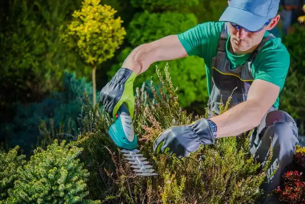 landscaping services Brownfields